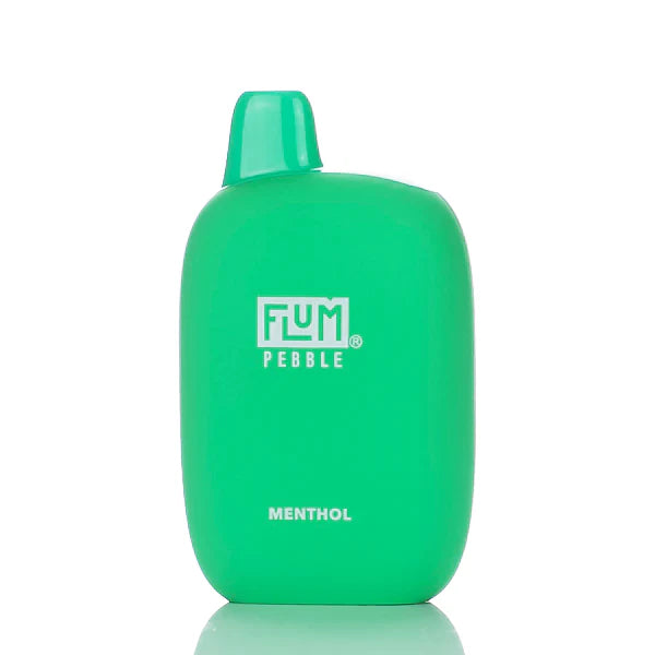 Flum Pebble Rechargeble 6000 Puffs