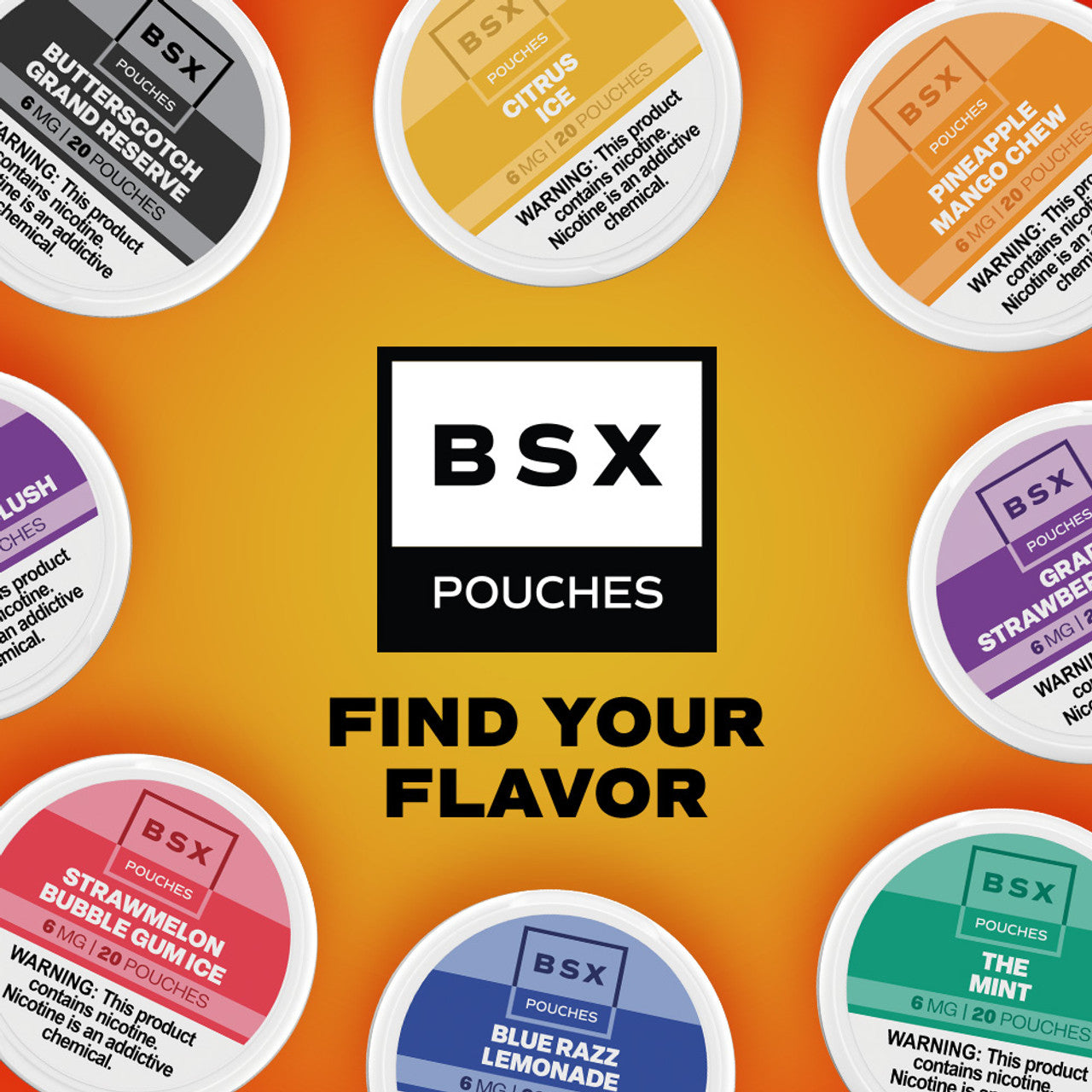 BSX nicotine pouches 5-pack for tobacco-free nicotine satisfaction